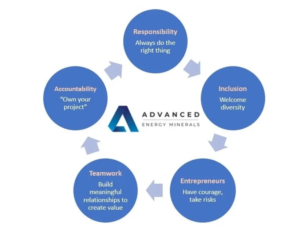 Diagramme circulaire avec des valeurs telles que la responsabilité, l'inclusion et l'obligation de rendre des comptes autour du logo d'une entreprise.